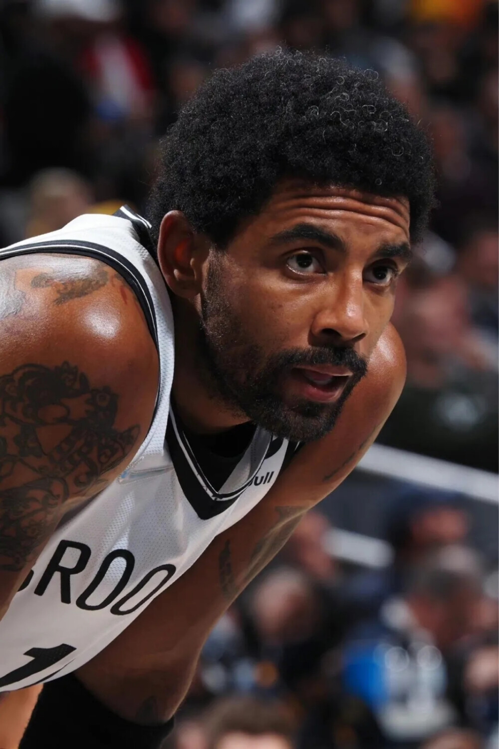 场上精彩的 场上精彩的