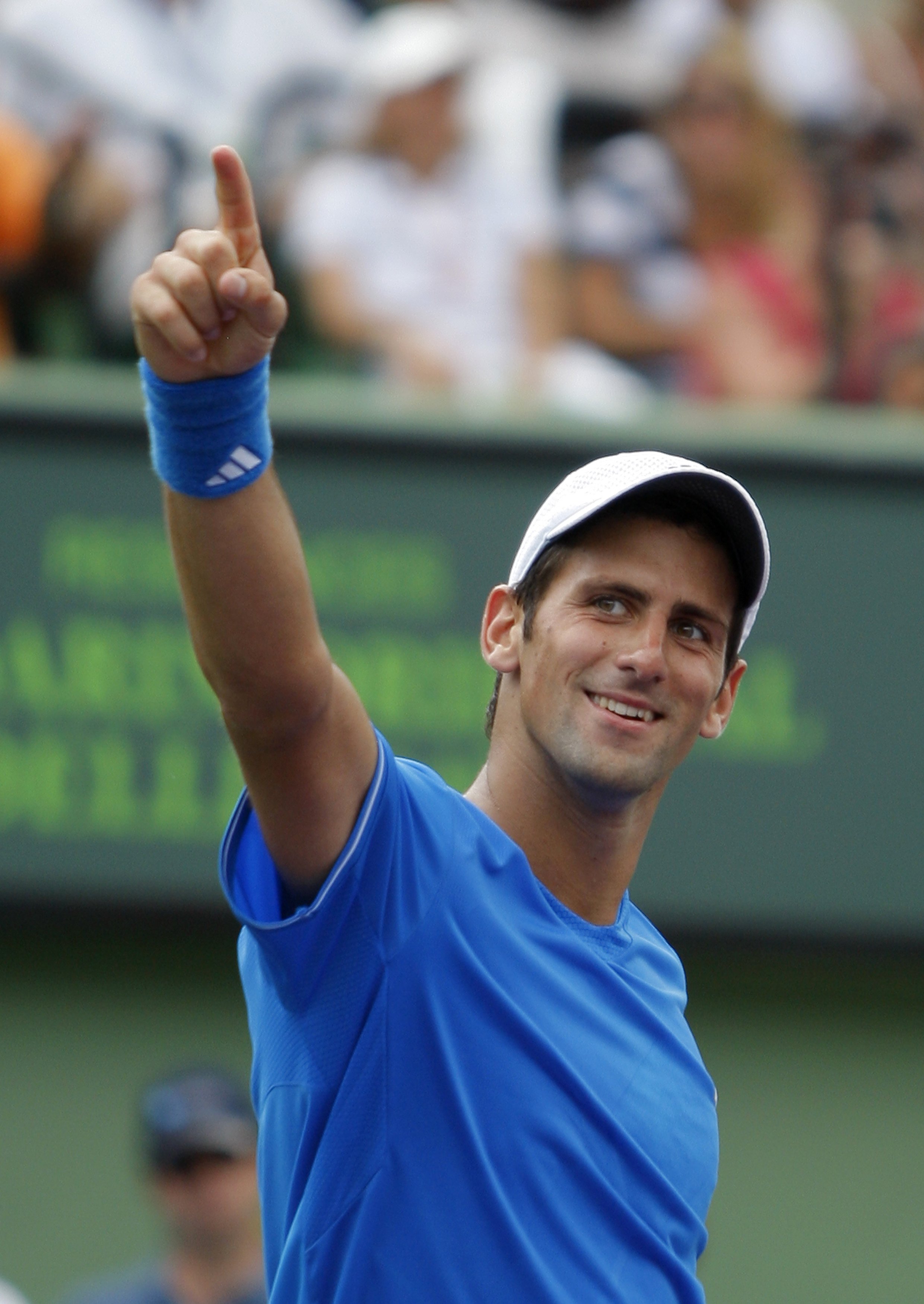 推介会也为 推介会也为