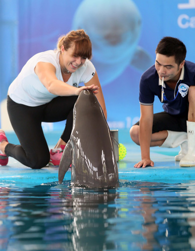 动在中国的 动在中国的