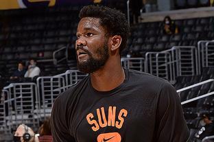 插眼占灌木